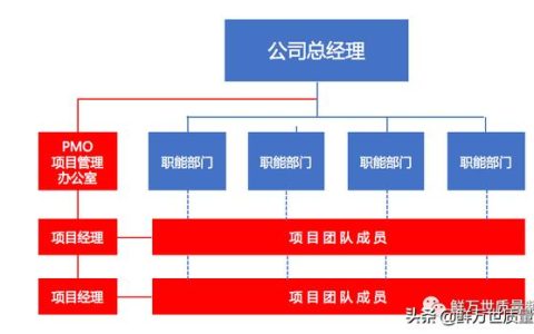 采用矩陣式項目開發(fā)模式，是否還需要建立PMO項目管理辦公室？（項目管理辦公室pmo實踐指南）