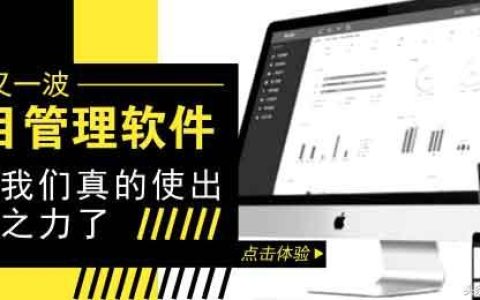 董小姐，一款專為您設(shè)計的項目管理軟件