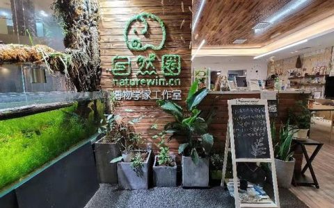 門店管理APP，讓門店實(shí)現(xiàn)“輕管理，重高效”（門店管理APP）