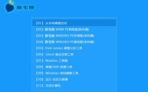 體驗(yàn)最好的u盤(pán)pe工具（u盤(pán)pe工具哪個(gè)好）